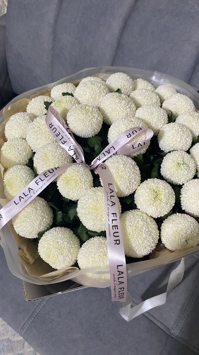 белый помпон хризантема