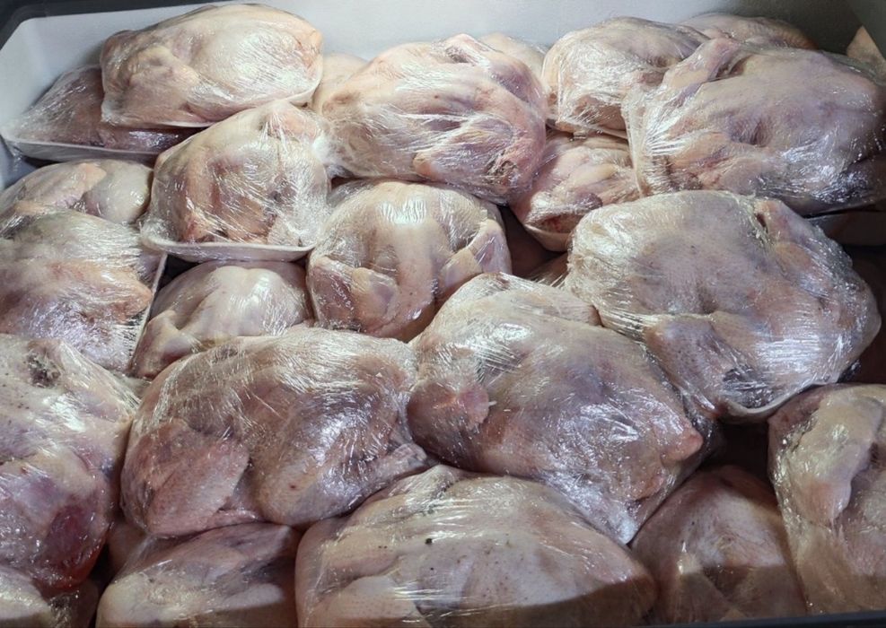 Продам мясо бройлера