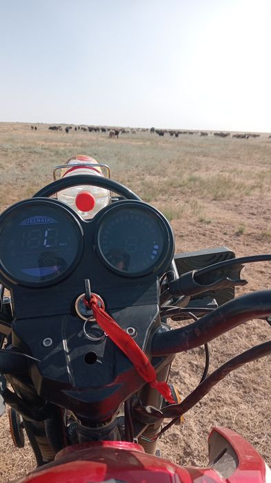 Jelmaia s6 150 кубов