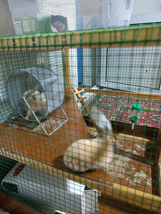 Hamyak  srochna sotiladi