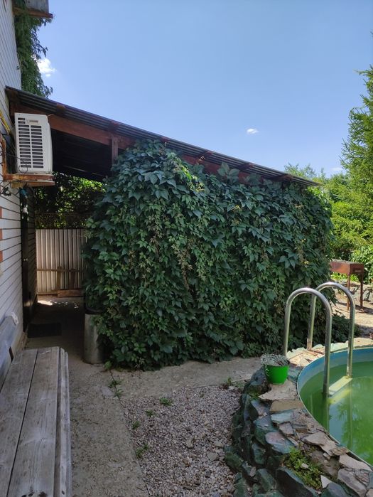 Продам дом в  черте города экологически ч