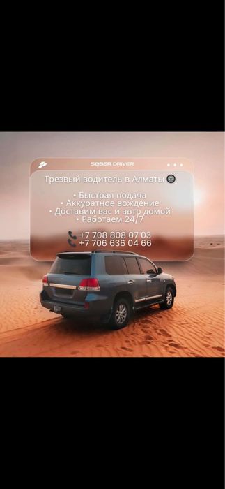 Трезвый Водитель