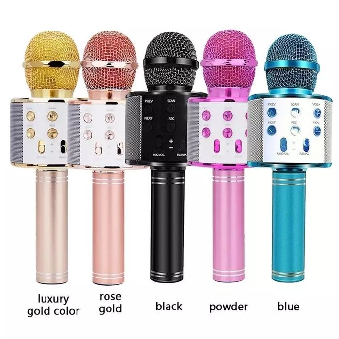 Безжичен караоке микрофон LY 100/Детски микрофон/Подходящ за подарък