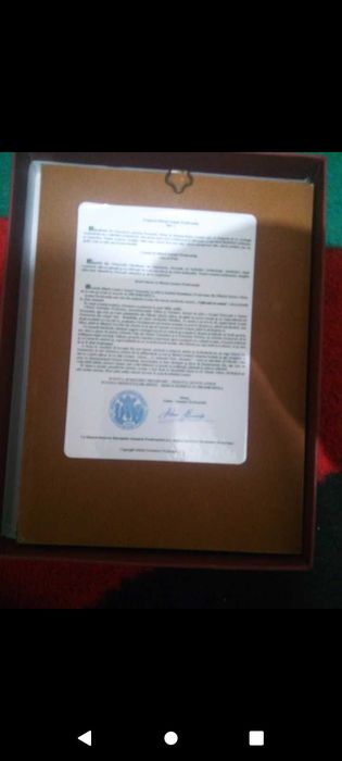 Vând icoana maicii Domnului prodromita la 200 de lei