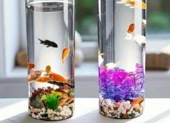 Nano Acvariu SMART 3 litri