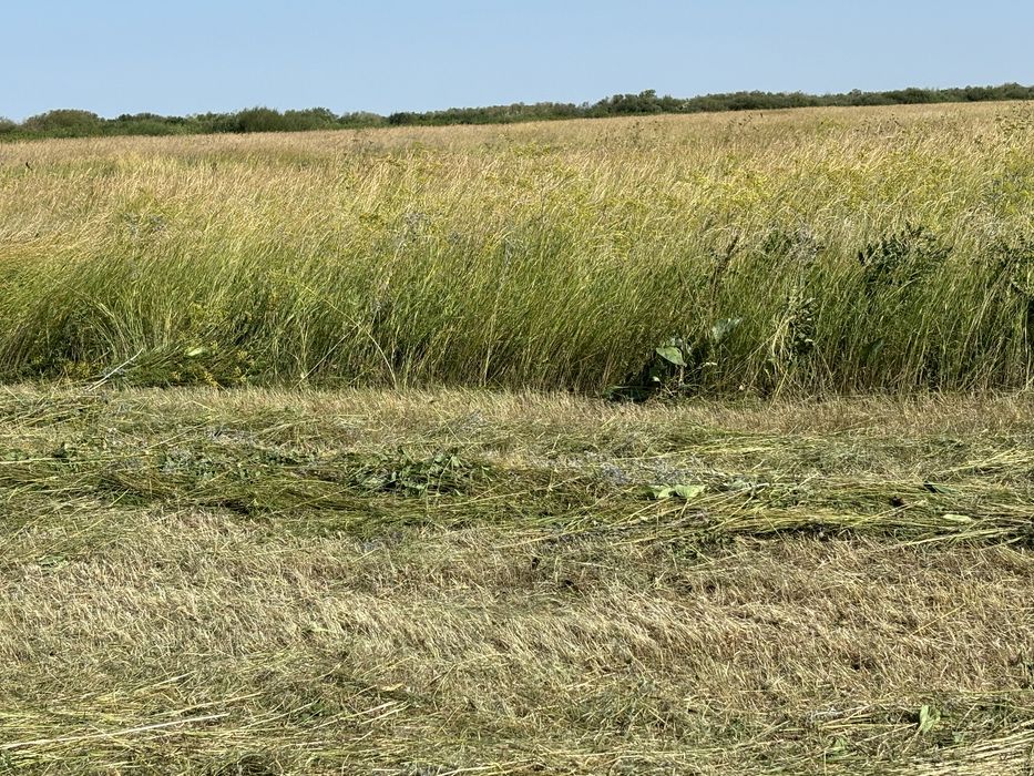 Сено луговое в рулонах