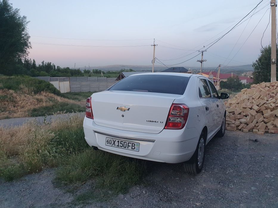 Kobolt toza 2019