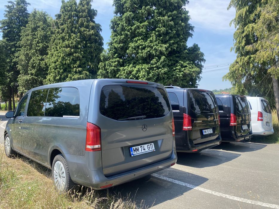 Inchirieri microbuze 8+1 locuri cu sau fără sofer