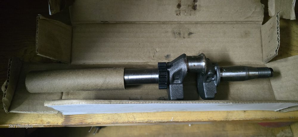 Vand arbore cotit Briggs & Stratton