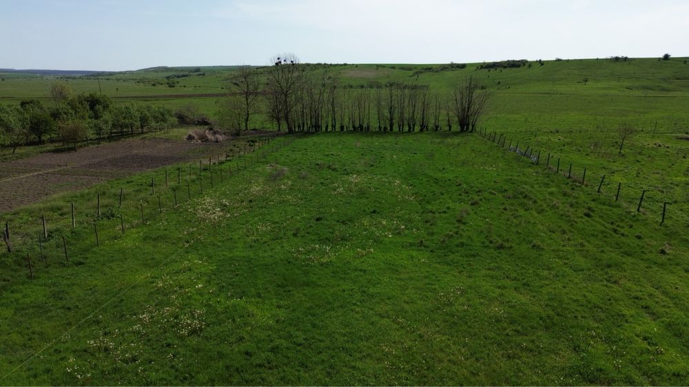 Teren intravilan Ianova 1508mp. Parcelabil