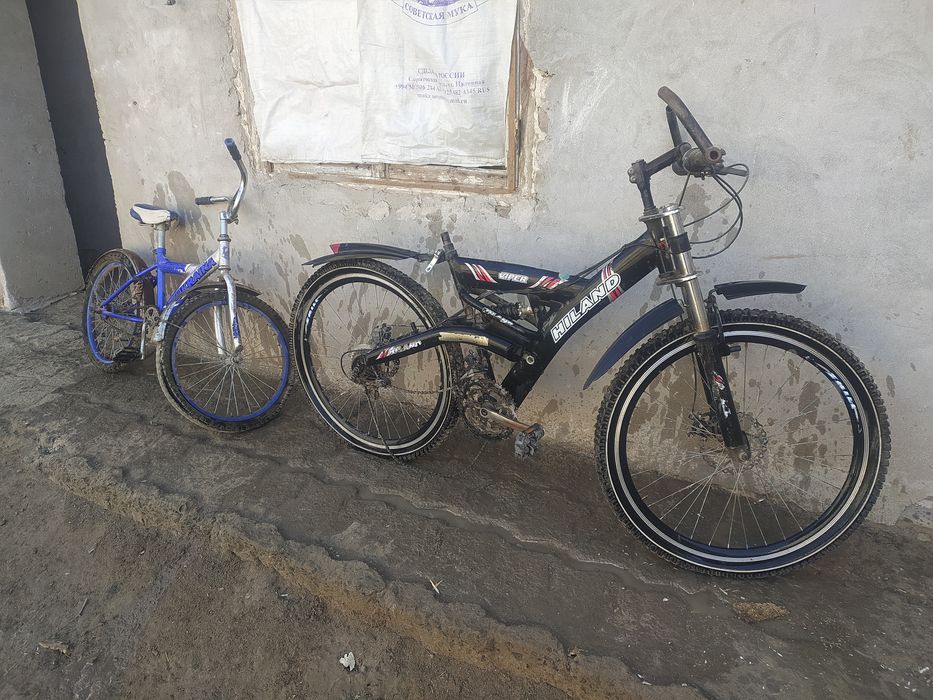 Velik ikkita xolati yaxshi kelishiladi