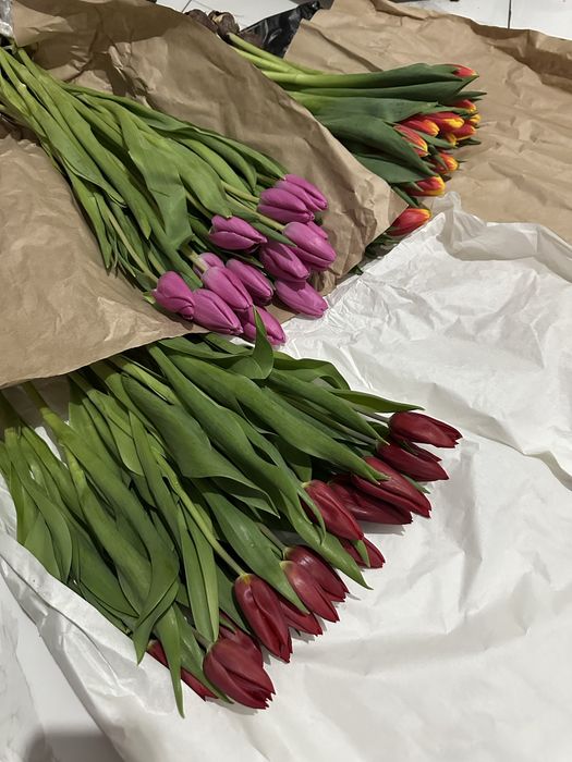 Есть тюльпаны !