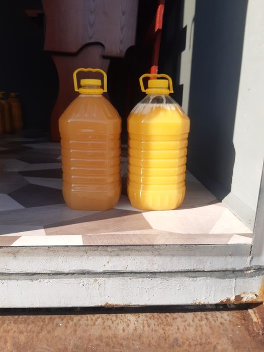 Продам мед с личной пасеки только оптом