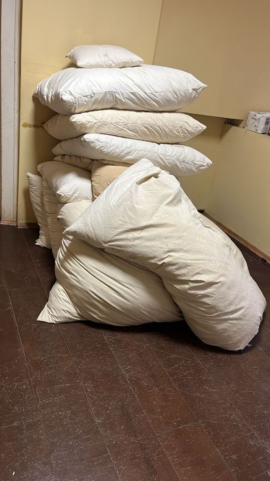 Vând pene în stare foarte buna, verificate.
