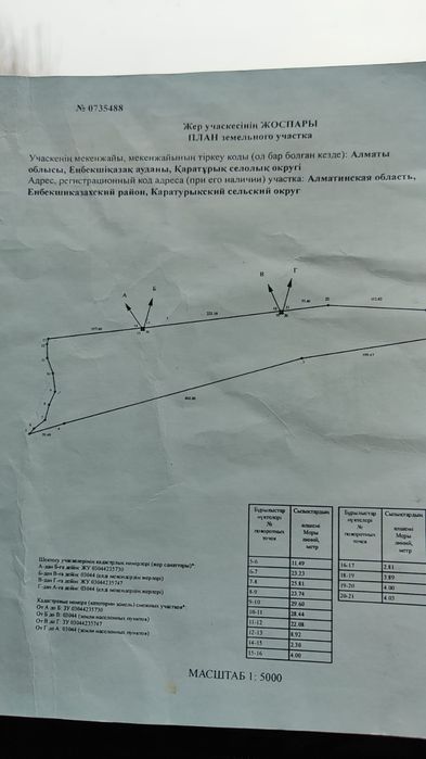 Яблоневые сады, яблоки