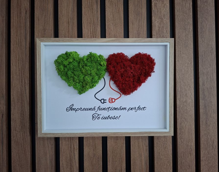 Colecție tablouri licheni