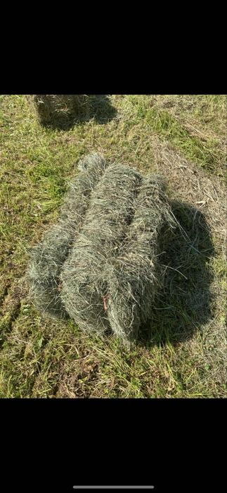 Vand baloti de fan si otava,