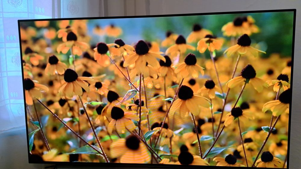 LG  OLED   обмен