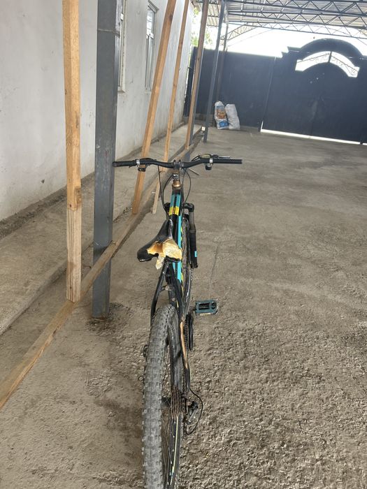 велик горный сост.жаксы