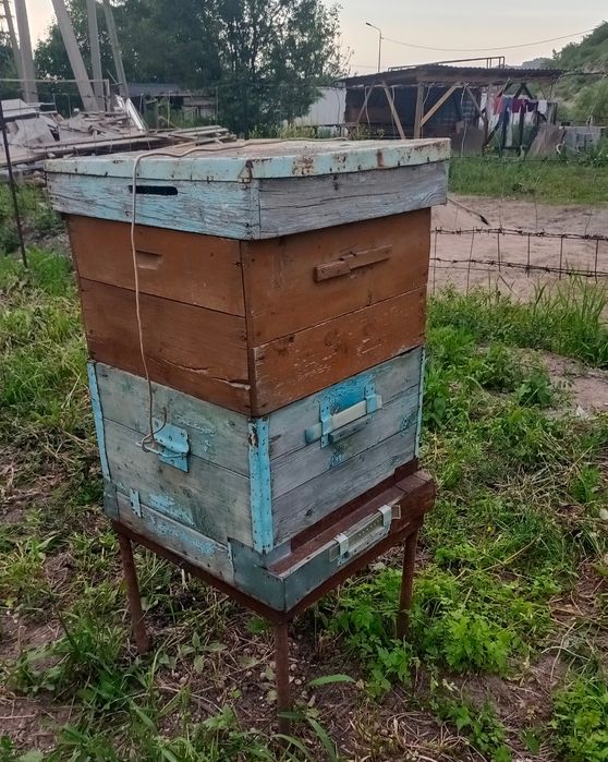 Продам пчелинный улий