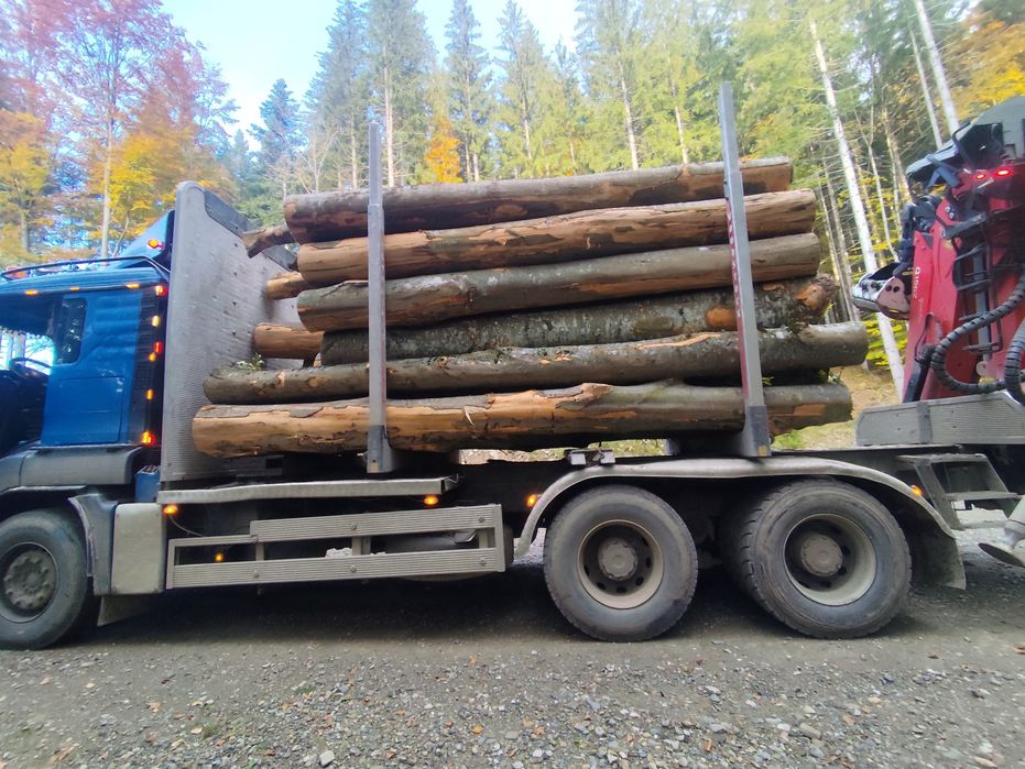 Lemn de foc fag | Transport inclus