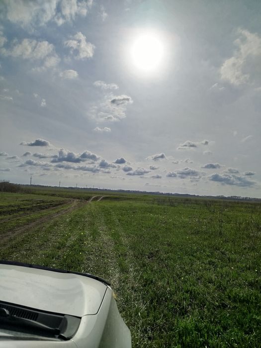 Продам дачу в тихом районе