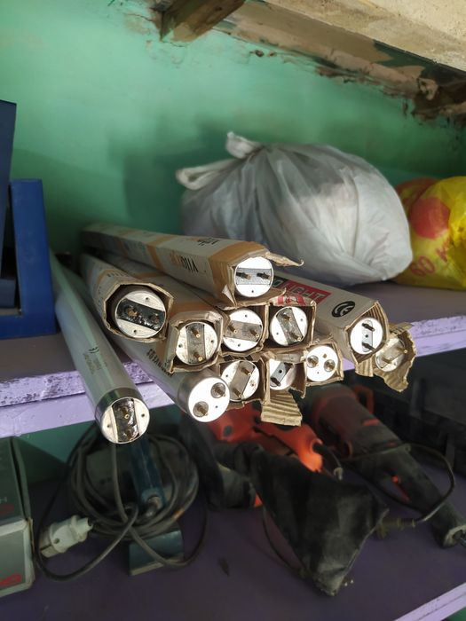 Лампы для плафонов