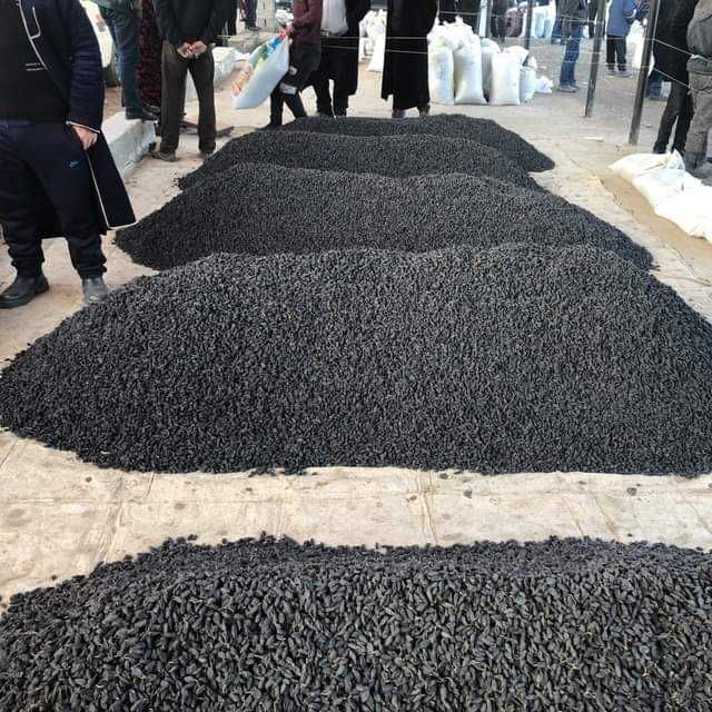 Qora kishmish mayizi sotiladi