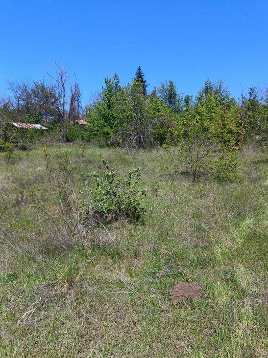 Продава се Парцел в Разград, Промишлена зона - Запад - 1700 кв.м за 12 €/кв.м - Снимка #2