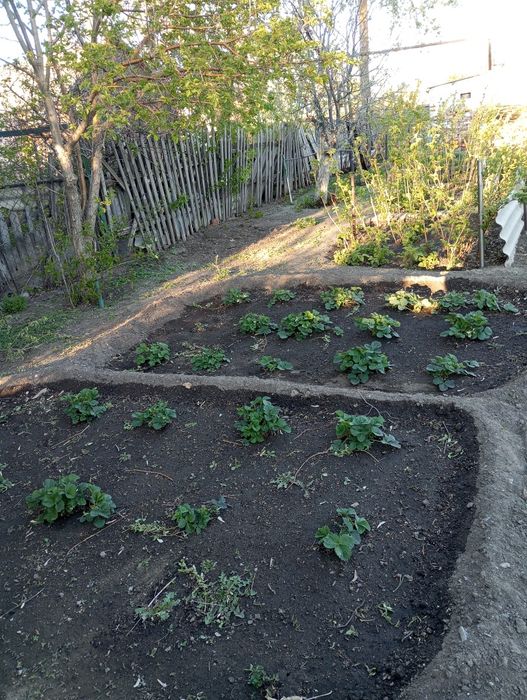 Срочно продам пол дома в центре города!