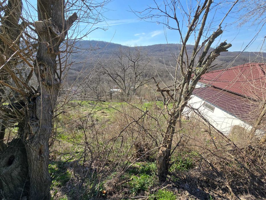 Парцел в Малки чифлик