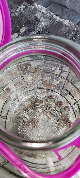 Банка 20 литров стекло