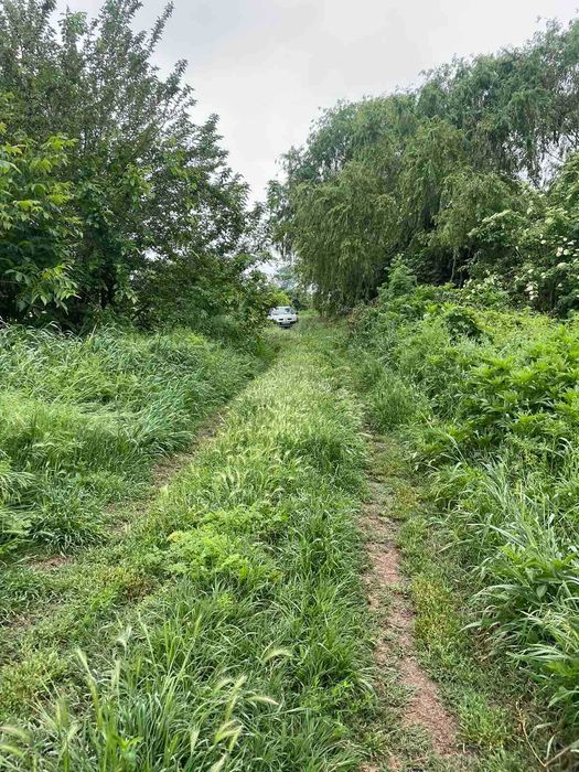 Продава се Парцел в с. Ягодово, Област Пловдив - 2750 кв.м за 13 €/кв.м - Снимка #1