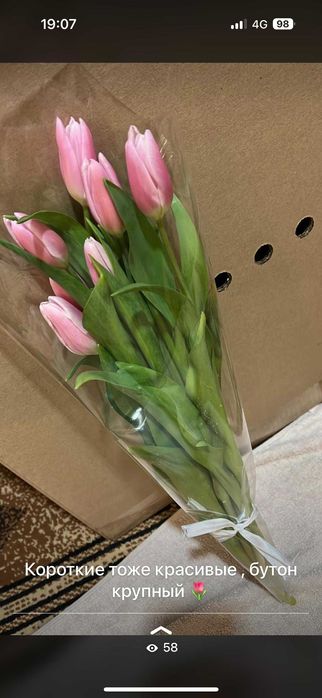тюльпаны оптом, в розницу 600