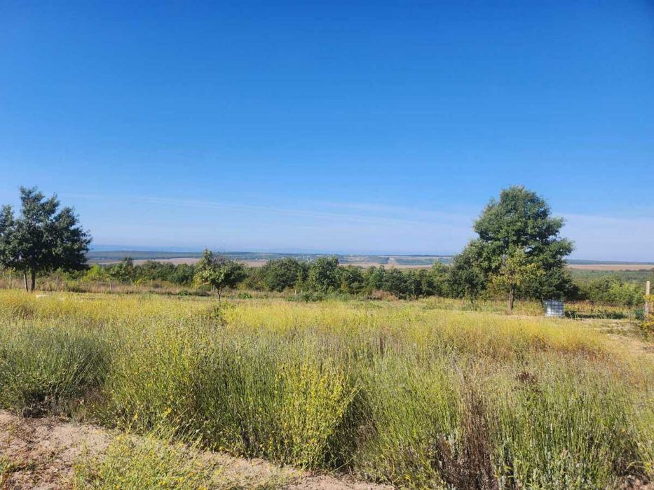 Отлична инвестиционна възможност: Разработен бизнес с оранжерии и