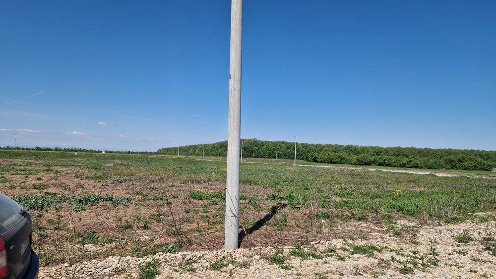 Teren intravilan Crevedia (17km de București)