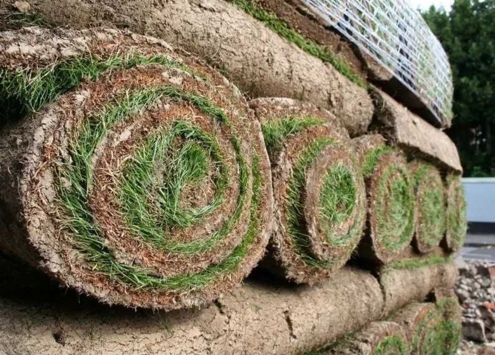 Gazon rulou/însămânțare gazon și sistem de irigații