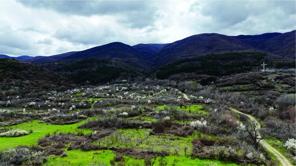 Урегулиран панорамен парцел в село Паталеница/Пазарджик