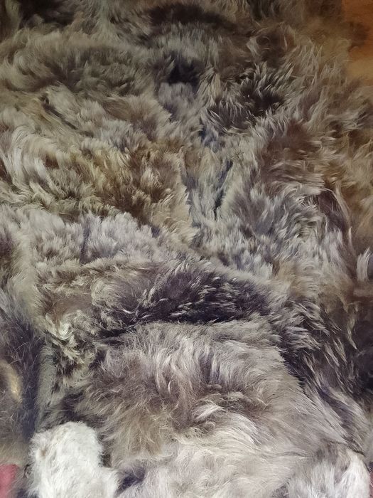 Килим/пано от мечка