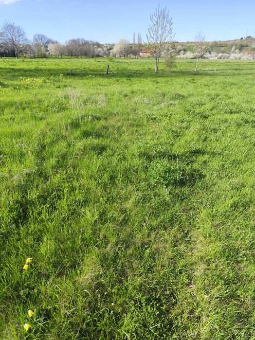 Teren intravilan in Crăcăoani, judetul Neamț