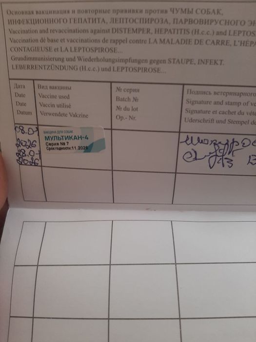 Алабай Сотилади.