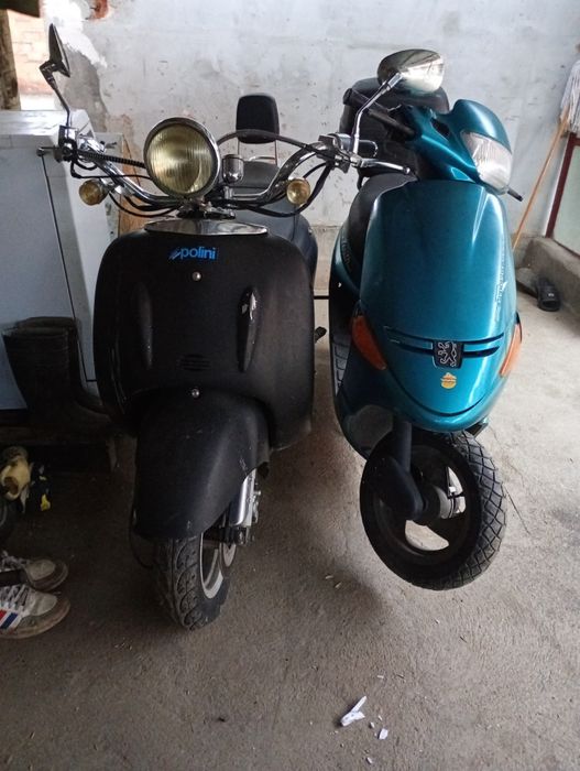 Schimb scuter cu animale