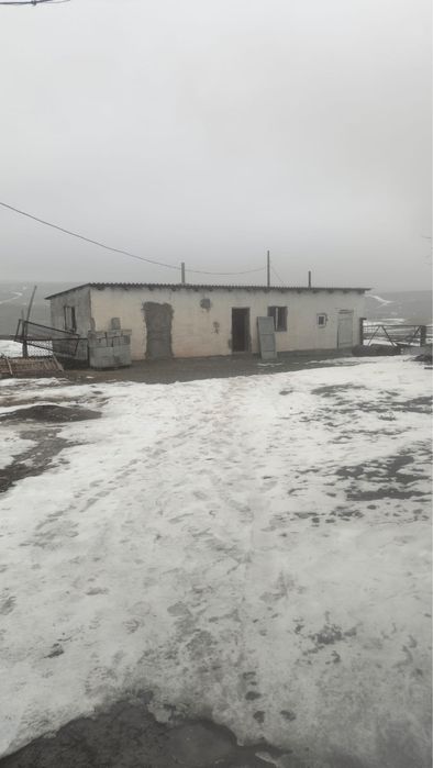 Фазенда на аренду и продажу