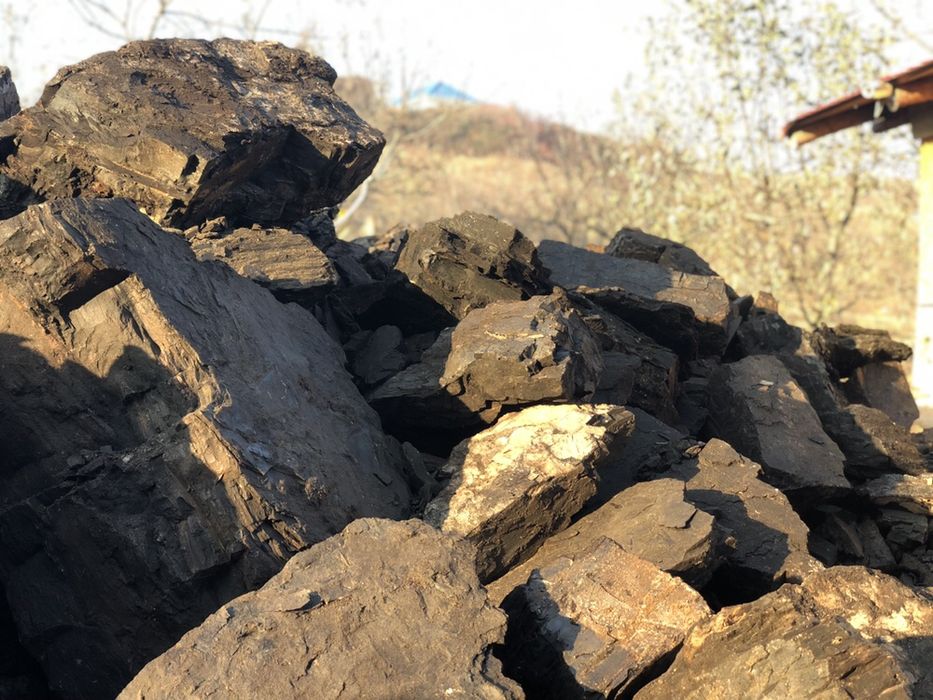 Carbuni pentru foc sortati fără praf sau pământ super oferta