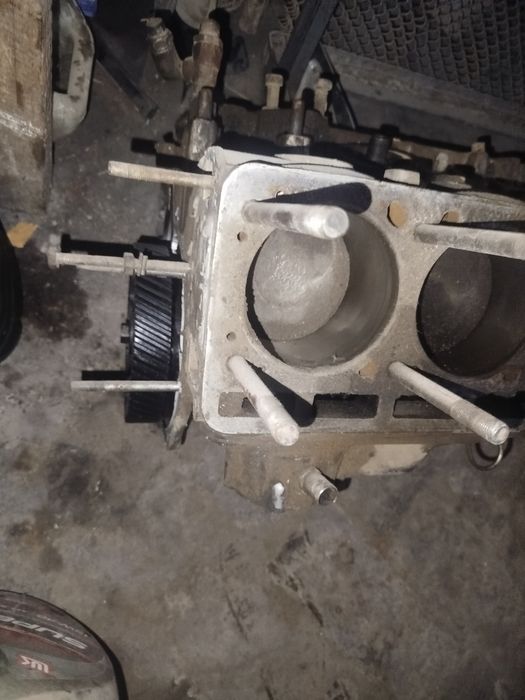 Gazel Sotka Bilok sotiladi