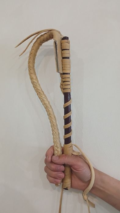 Қамшы, камча настоящая