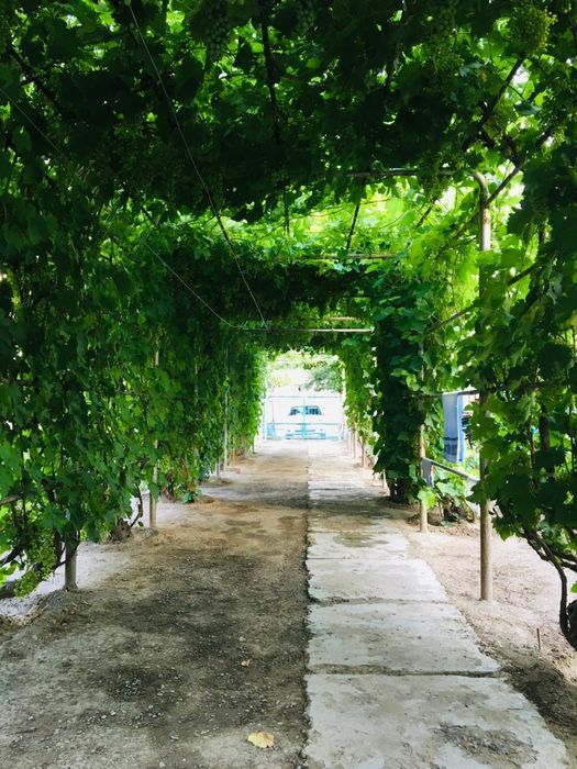 Karatau, үй сатылады!