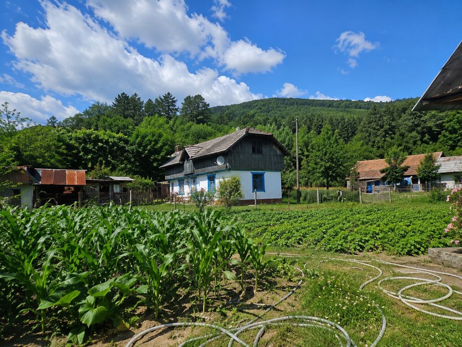 Casă de vânzare cu teren 1.640 mp – Sat Ferastrău, Comuna Oituz, jud. Bacău