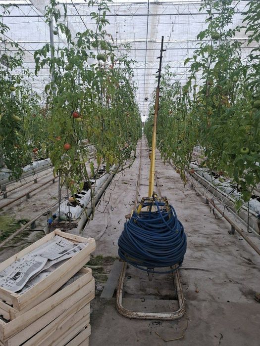Срочно Продается Земля Кушкунда 16 Гектаров