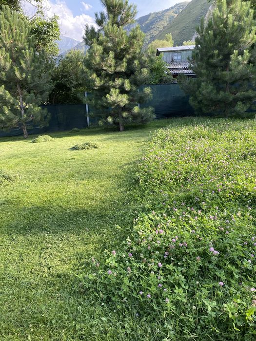 Покос травы Stihl Газон